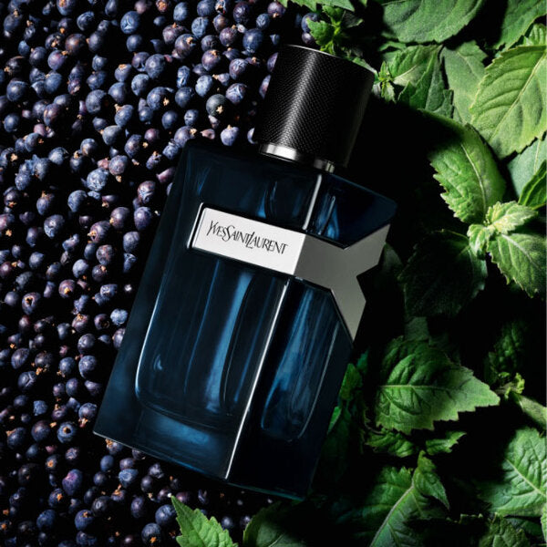 Bold Night Inspired by Y
Eau de Parfum Intense by
Yves Saint Laurent - Men